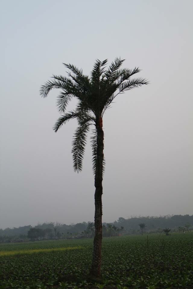 prntsolutionbd's tweet image. #GoodMorning