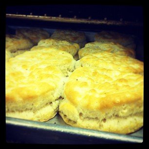 magillspasco's tweet photo. Biscuit glamour shot #weekendsatmagills https://t.co/boIjTaz1SM