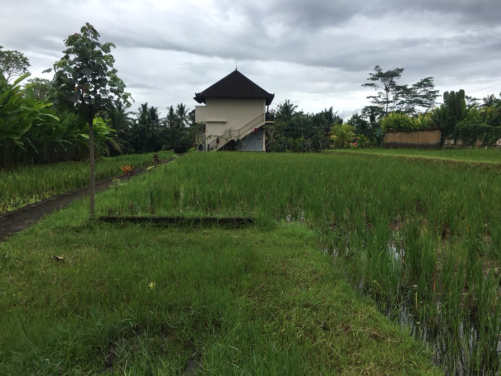 KonJenBali's tweet photo. #streetsofbali Walaupun mau hujan, sy lg ikut perjalana Campuhan, #Ubud #Bali https://t.co/PWgApPqqPY