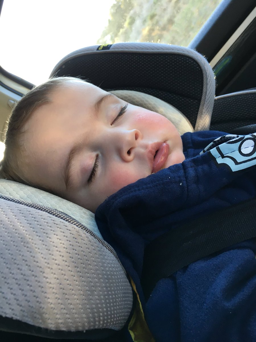 ButtonSubscribe's tweet image. Just had an awesome day at Gilroy Garden. My little man is pooped