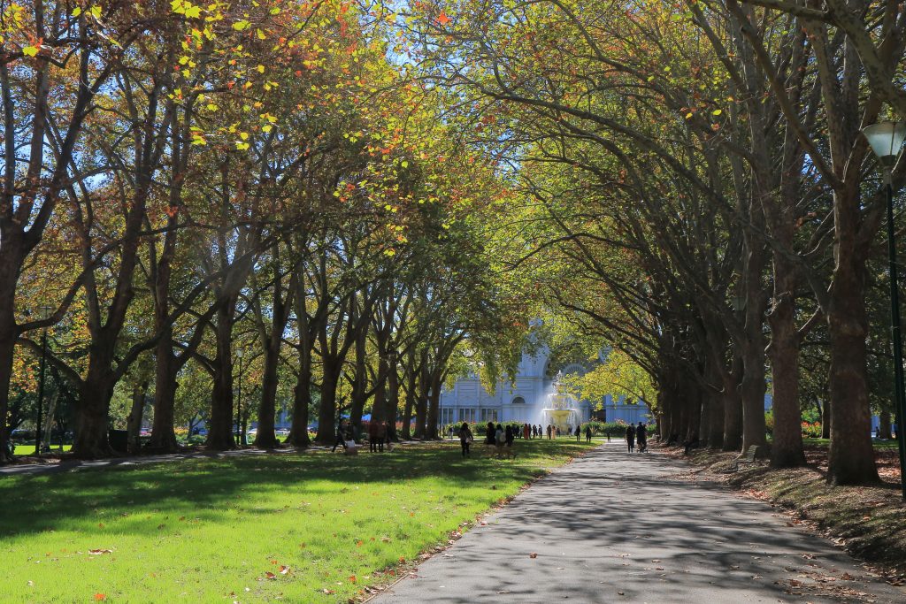 Whether you are hosting a solemn #marriageceremony or throwing a grand #birthdayparty, the options for #holdingevents in the great #outdoors are endless, provided you know where to look. Here Come 5 Best #Parks in #Melbourne for Any of Your Next #Event.

goo.gl/CUYVwU