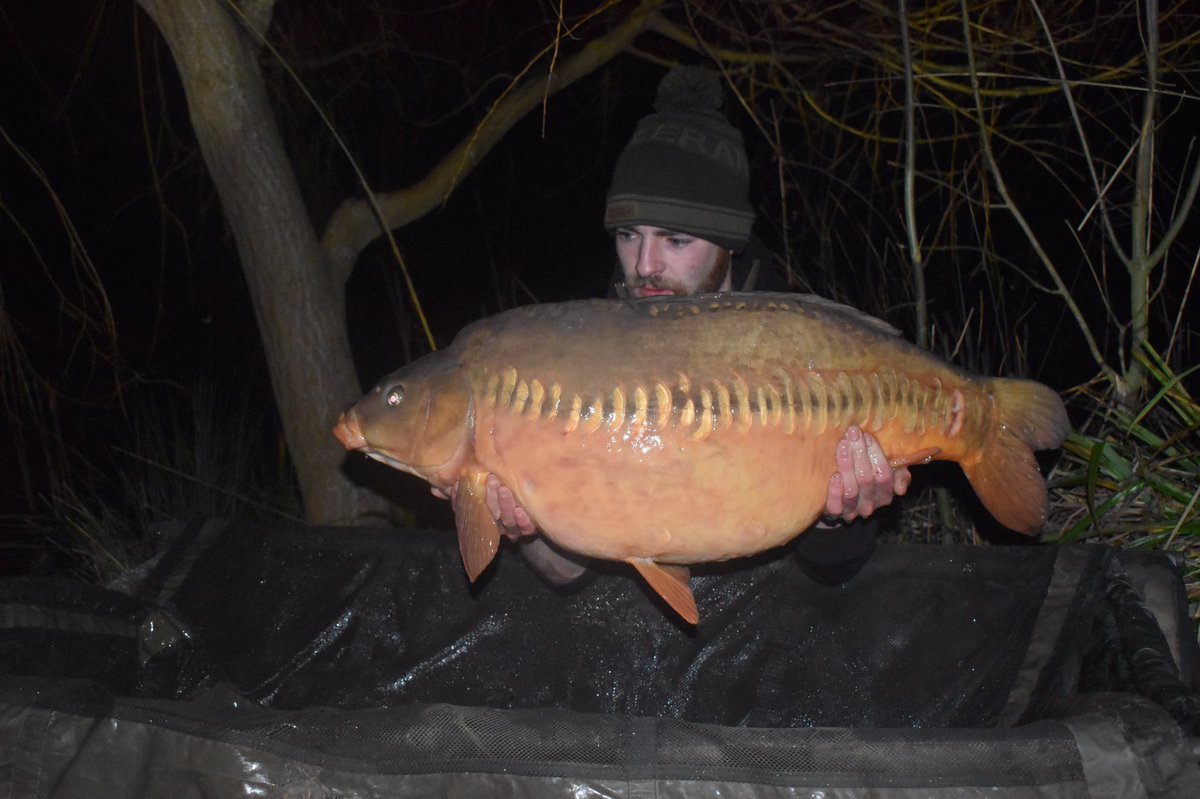 High_liners's tweet photo. 31lb 4oz what a beauty to wake up to! #freezing #mynetwasstucktothefloor @FryerningXLCarp @DaveLevy73 @TeamMainline https://t.co/2FoFgShhV0