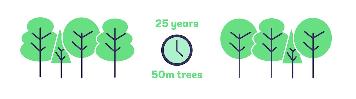 Northern Forest tweet media