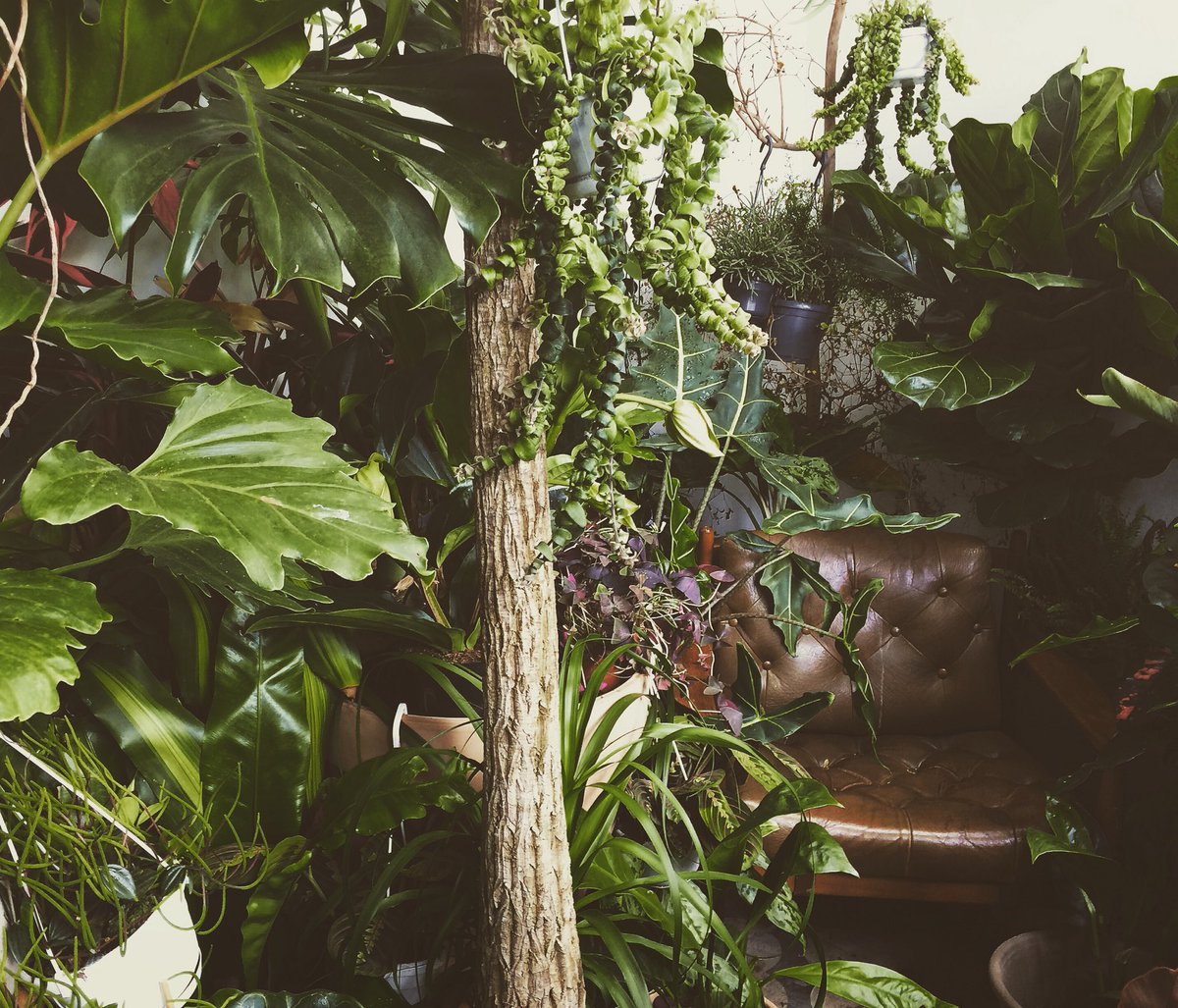 sistrazine's tweet photo. Throwback to our trip to Conservatory Archives in East London 👌🏻 https://t.co/sdlKAQsnc3