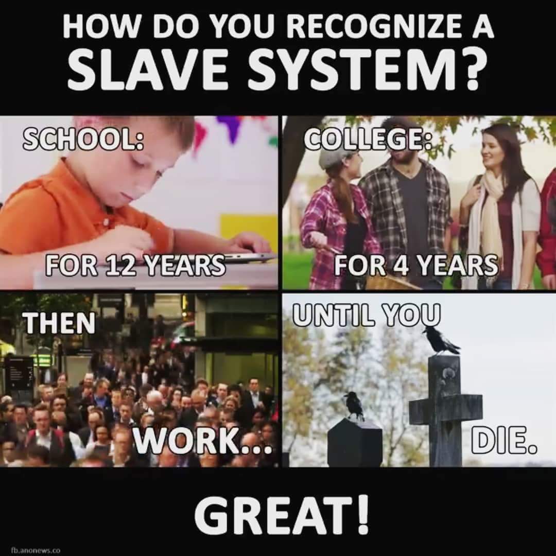 RealCryptoElite's tweet image. How do you recognize a plate system?
#yourlife #slavesystem #followwhatyouaretold