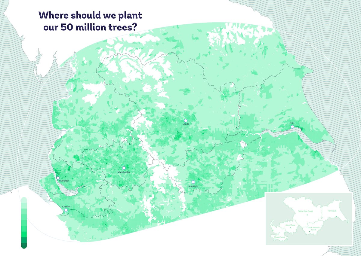 Northern Forest tweet media