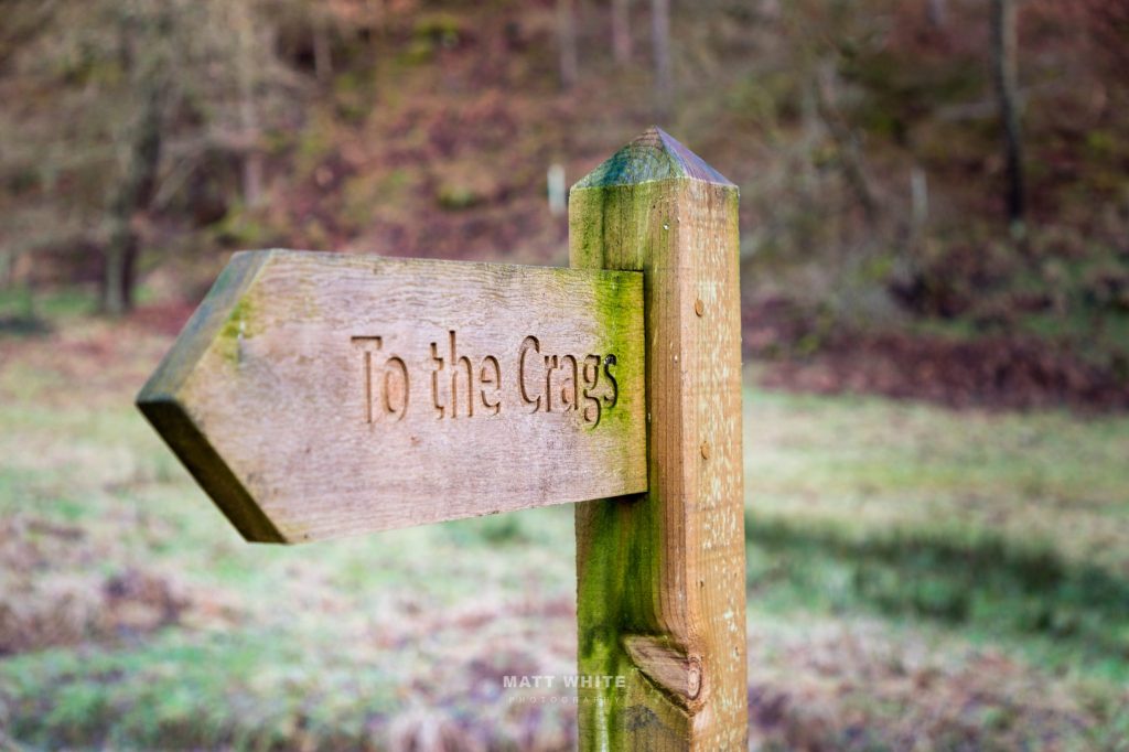 photomattphoto's tweet image. Hardcastle Crags, West Yorkshire, UK miwphoto.co.uk/hardcastle-cra…