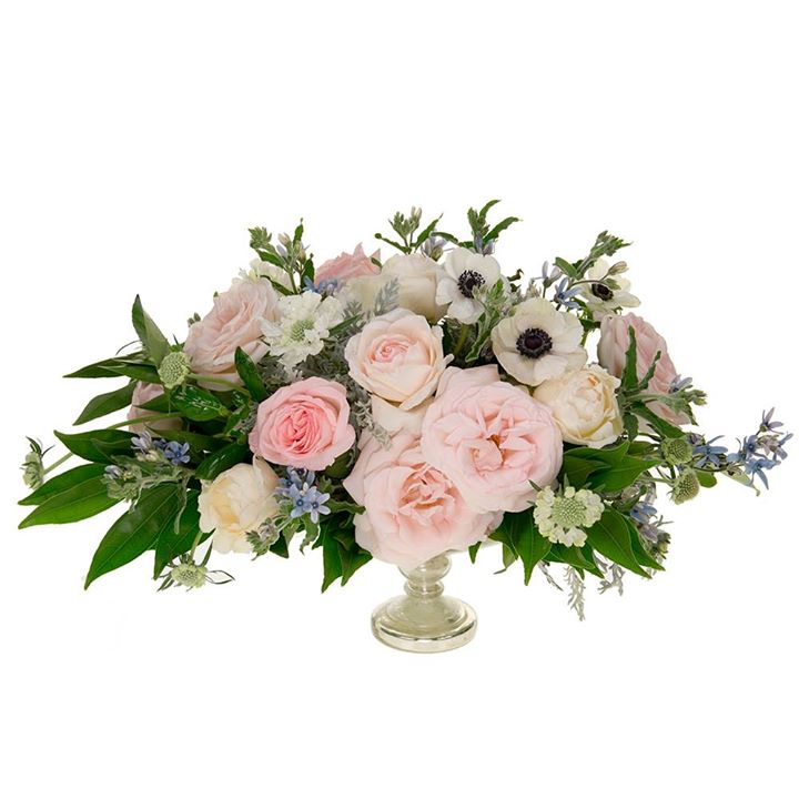 FischFloral's tweet photo. Here's a little floral inspiration to start your day - https://t.co/R7UWfbtfOs