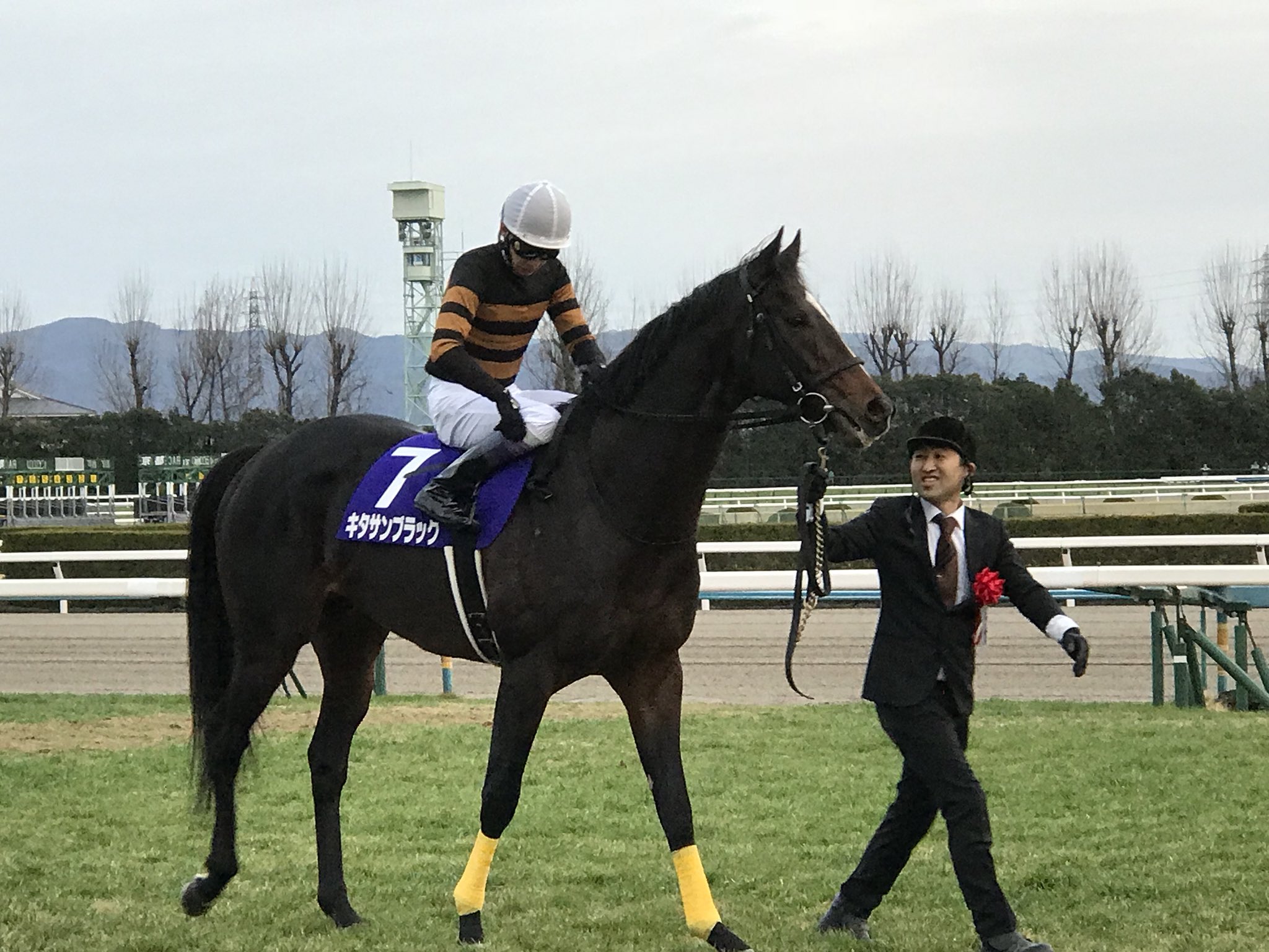 ［競馬］キタサンブラック 引退記念ロックグラス／ウイスキー／JRA Amazon | ［競馬］キタサンブラック引退記念ロックグラス