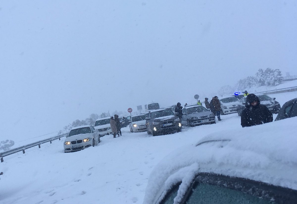 gonzalolopezcam's tweet photo. Hola, @rne. Llevamos toda la noche atrapados en la nieve y necesitamos información. Seguid hablando de la Lechuza Común y su declive demográfico. Que gran servicio público https://t.co/hic1U8GPu5