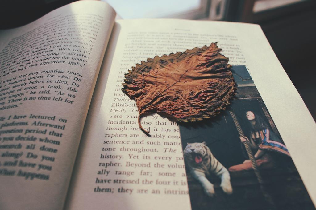 Azadaaa_'s tweet image. Bob Dylan 
Sting
Bryan Adams
My lovers