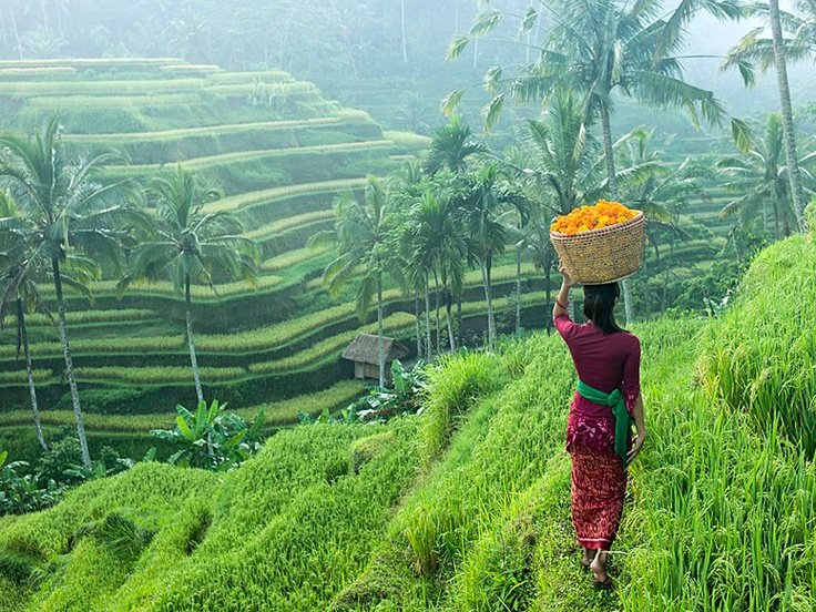 #VisitIndonesia

Ubud Bali ... 😍😍😍