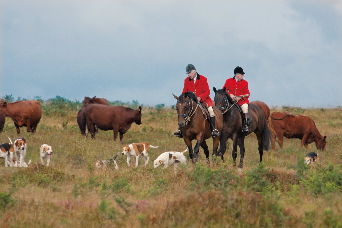 LeagueACS's tweet photo. Major new story: hunting hounds pose significant health risk to humans and farm animals. Massive implications for hunting and farm industries. Reported in Sunday Times. Please RT https://t.co/pkKUc2cXs7 https://t.co/cH1URjAL3l