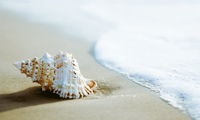 للجسد طريقه واحده للولاده 
ولكن للموت ألف طريقه 
وللروح ألف طريقه للولاده
ولكن للموت طريقه واحده 
#عبد الرزاق الجبران 
#جنيدار