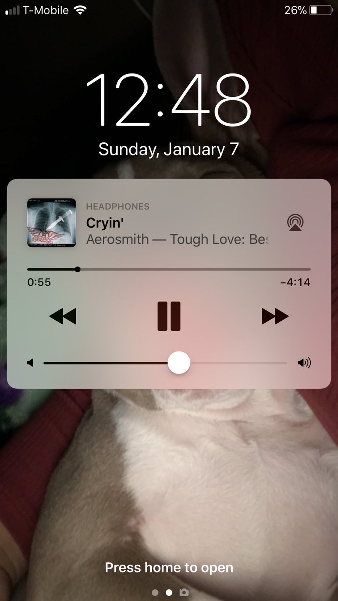 dani__guzman's tweet photo. This shit gives me life 🙏🏽🎧 https://t.co/ad633UuQmV