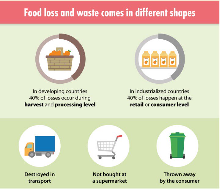 WorldBankGroup's tweet photo. Every year, 1.3B tons of food is lost or wasted around the world. #NotWasting can help to tackle food insecurity: https://t.co/neh6bmheHJ https://t.co/CS8KsBy4mk