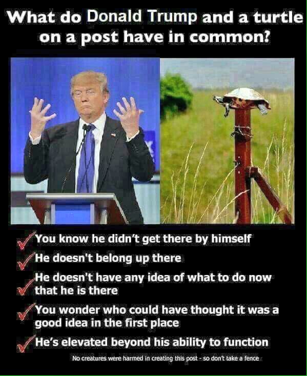 JohnnyBledo's tweet image. This sums up tRump's 
ENTIRE LIFE...