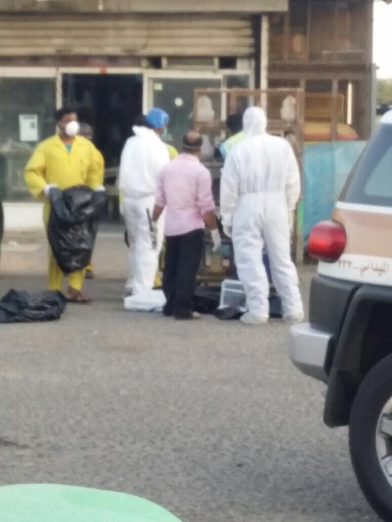 bnews022's tweet photo. إغلاق #سوق_الأهدل في #جدة لوجود اكثر من ٦٠ محل لبيع الحمام والطيور والدجاج البلدي والببغاء وانتشر بينهم انفلونزا الطيور.
ويقع بجوارهم حلقة الخضار والتمر مما يساعد انتشار المرض بسبب التلامس باليد من مسك الطيور ثم الاتجاه للفواكه والخضار وانتشاره بالهواء
#فاصل_اخباري https://t.co/u8U6wWCD3f