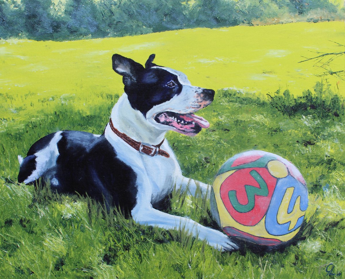 GrahamLockett1's tweet photo. 'Mogi' oil on board #art #oil painting #petpaintings #dogpaintings #staffordshirebullterrier https://t.co/sNZuMJ6pZV
