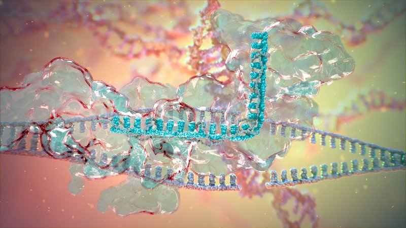 Biotech World tweet media