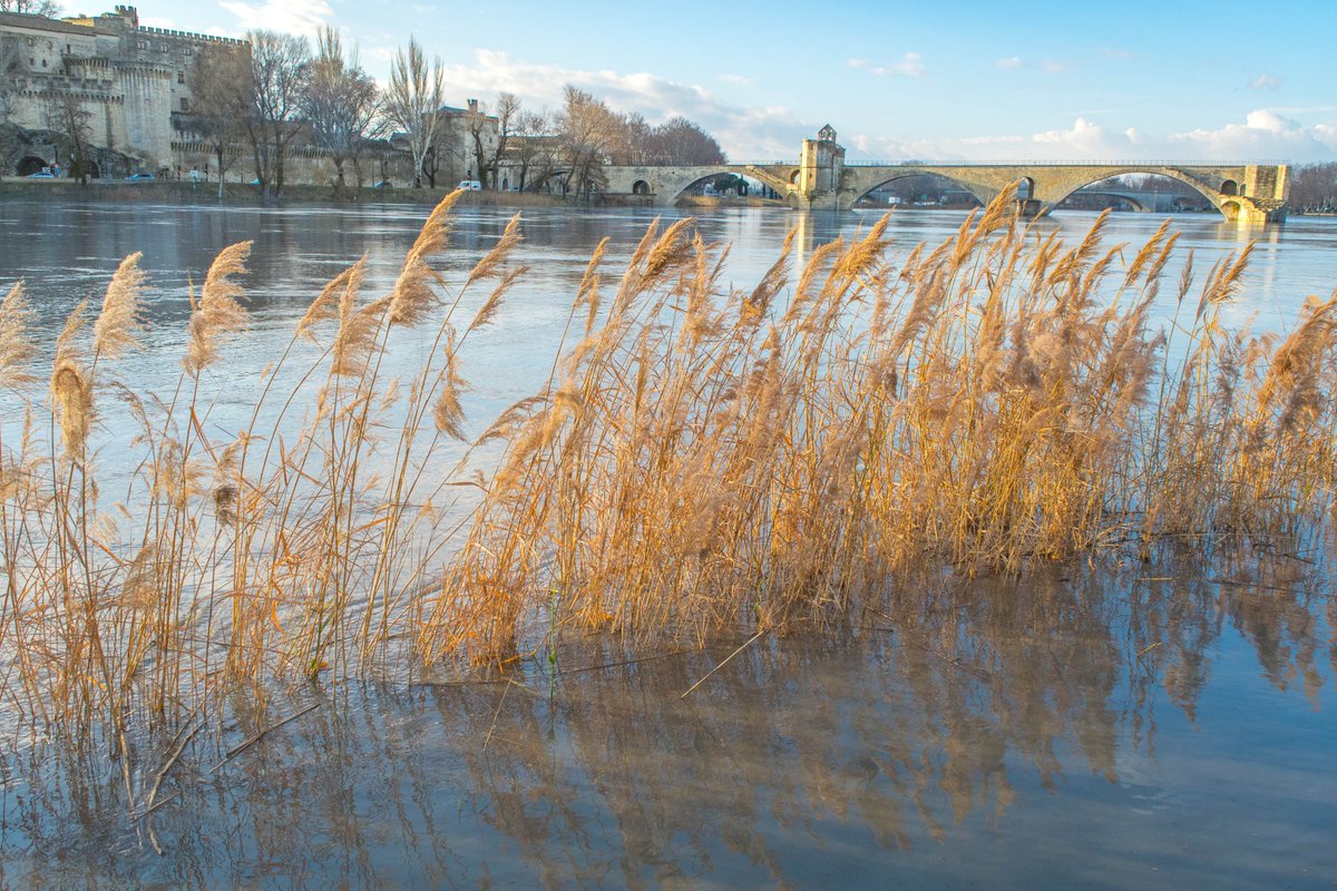 gregoryirthum's tweet photo. Le soleil se lève sur #Avignon 😀. 
Tout doucement le soleil pointe son nez, au rythme des battements de la ville ... 😍

#MagnifiqueFrance #FranceMagique #Vaucluse #Provence #Paca #Paysage #nature #patrimoine #Avignon
@ProvenceGuide @LPAvignon @avignon https://t.co/1sruOX8EIZ