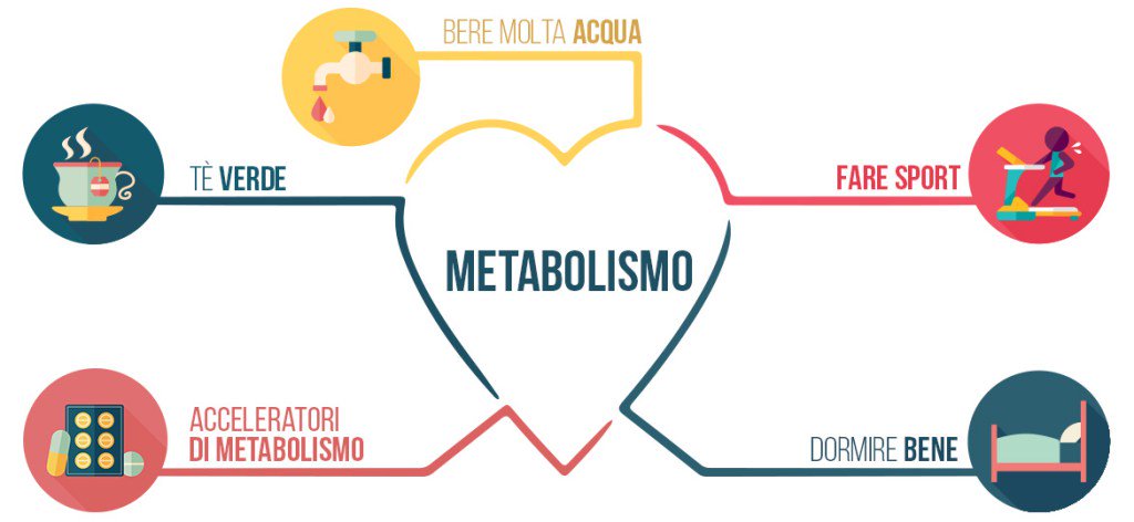 behappyveggie's tweet photo. Metabolismo lento: le cause https://t.co/WdFonMup0q https://t.co/zNro4BZanV