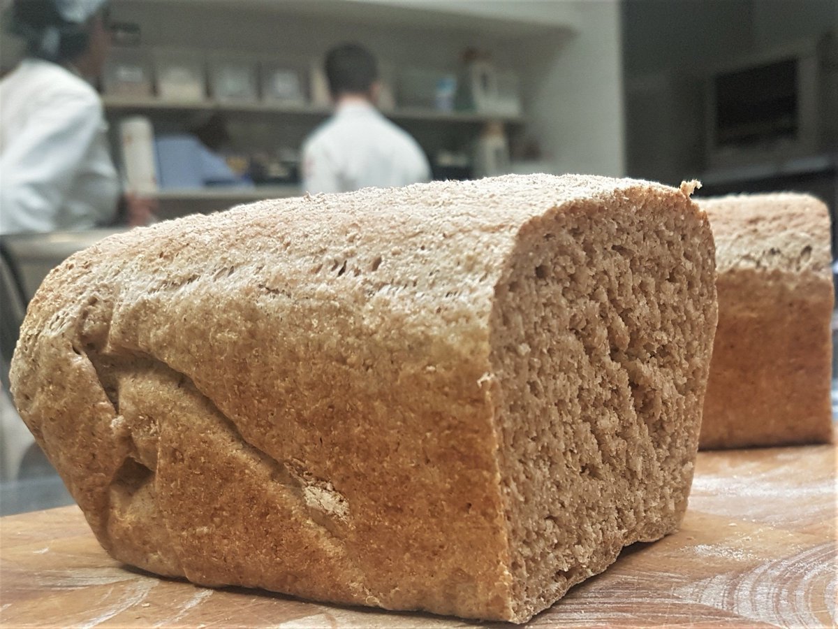 fitalyfood's tweet photo. introducing your new rise and shine.
#spelt bread high protein low gluten
#sunday #fresh #easydigestion #nobloating #eatsthatfityouup
#cravingfood #cravingcarbs #fitnesstips #goals #eeeeeats #foodie #healthylifestyle #motivate #chefmode @gopaco83 @danilocortellini #blessed https://t.co/EfwbpYjBJJ