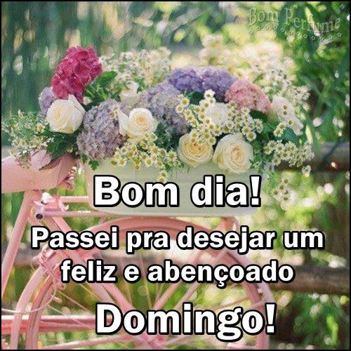 EliasTadeuFerr1's tweet photo. BOM DIA á todos.. https://t.co/Cxv6goSPd1