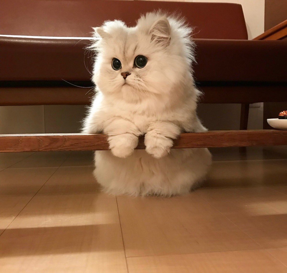 pinkar9's tweet photo. https://t.co/3JM6aXB7t5