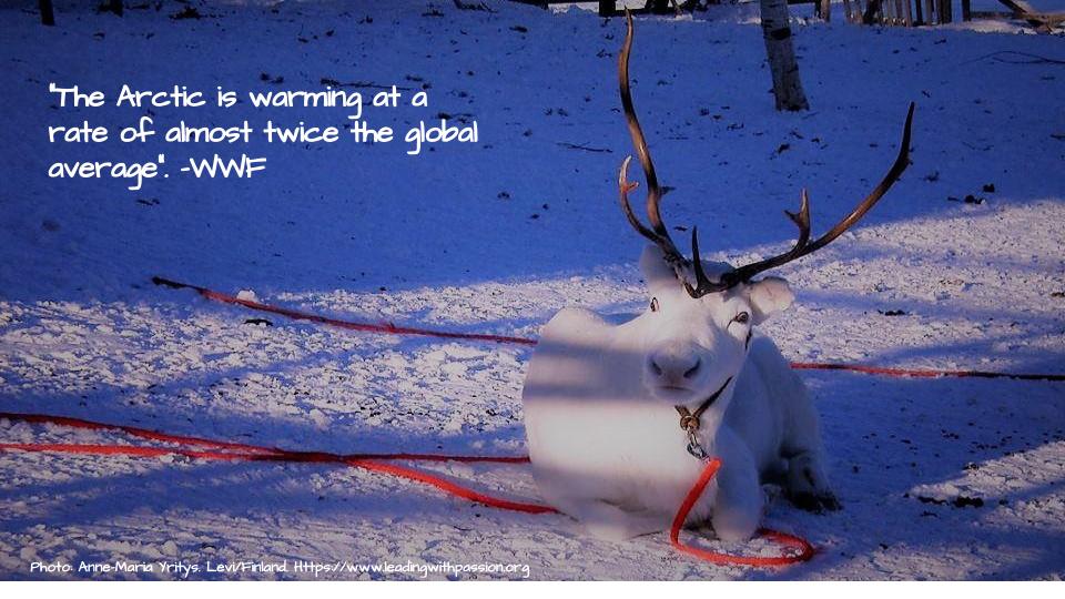 'The Arctic is warming at a rate of almost twice the global average'. -WWF bit.ly/ARCTIC000 #climatechange #climateaction