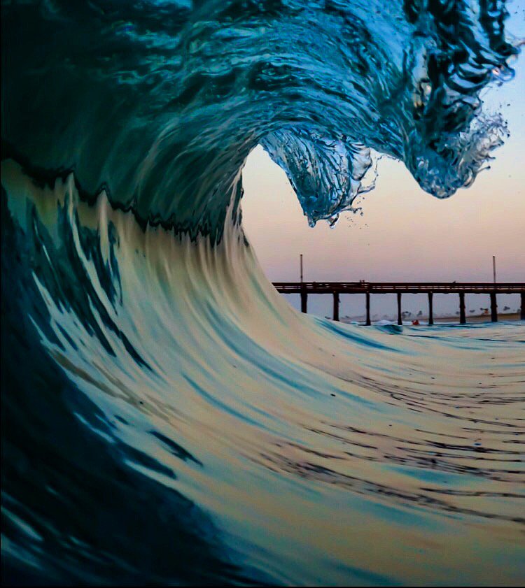 arceo_visions's tweet photo. Balboa Blue https://t.co/xuPPDa86As
