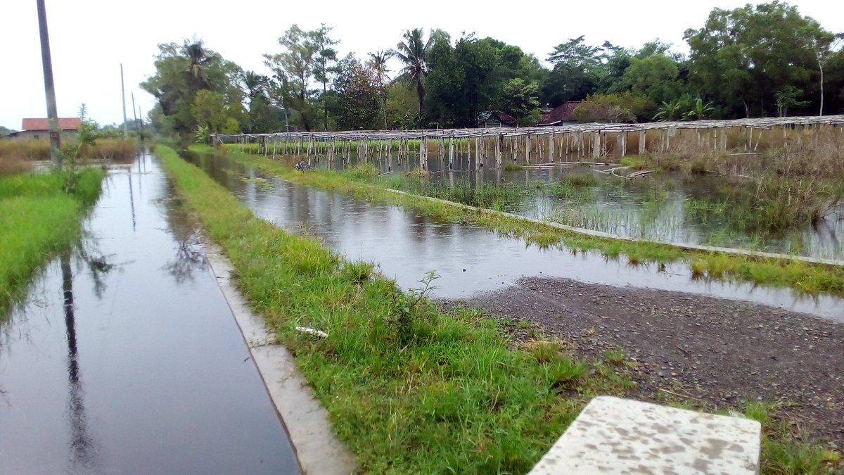 BPBDPurworejo's tweet photo. Kawasan pemukiman di Desa Munggangsari &amp; Kertojayan Kec. Grabag yang tergenang air setiap kali hujan lebat akan segera terbebas genangan dengan beroperasinya alat berat BPBD untuk membuka saluran air yg tersumbat. "Kalau saluran air sudah lancar di jaga ya biar tidak mampet lagi" https://t.co/QMTCuuvlUt