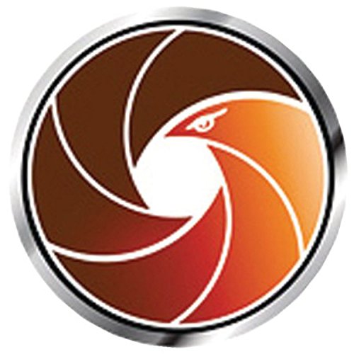 download macroeconomics in modules 2011