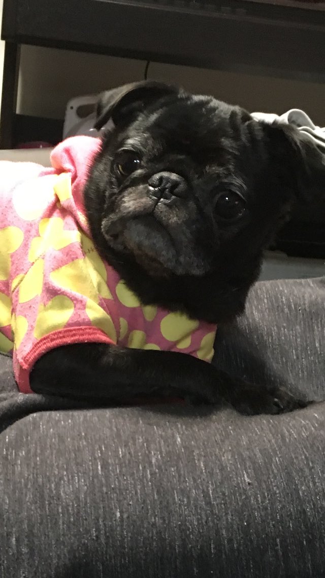 IiquidHQ's tweet photo. あけまして���めでとうとうございます。 https://t.co/1zouf0ohU9