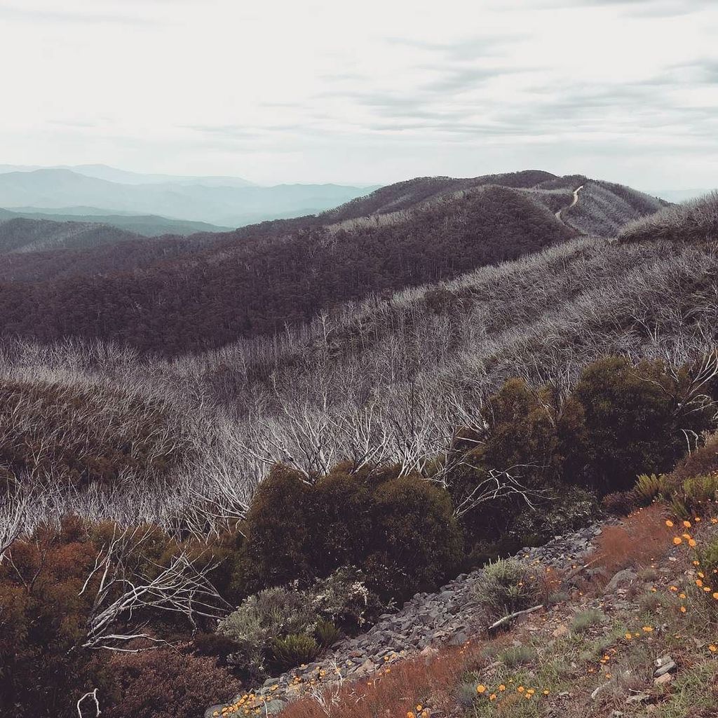 View from Mt Skenes in western Gippsland ift.tt/2maqh0o
