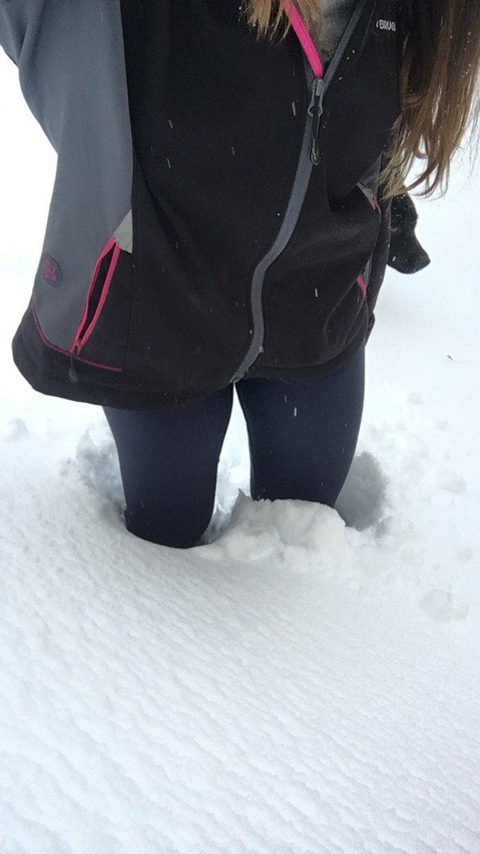 ElenaHernan7's tweet photo. Nevadon del siglo XXI 😱 https://t.co/FFeoyz9SiB