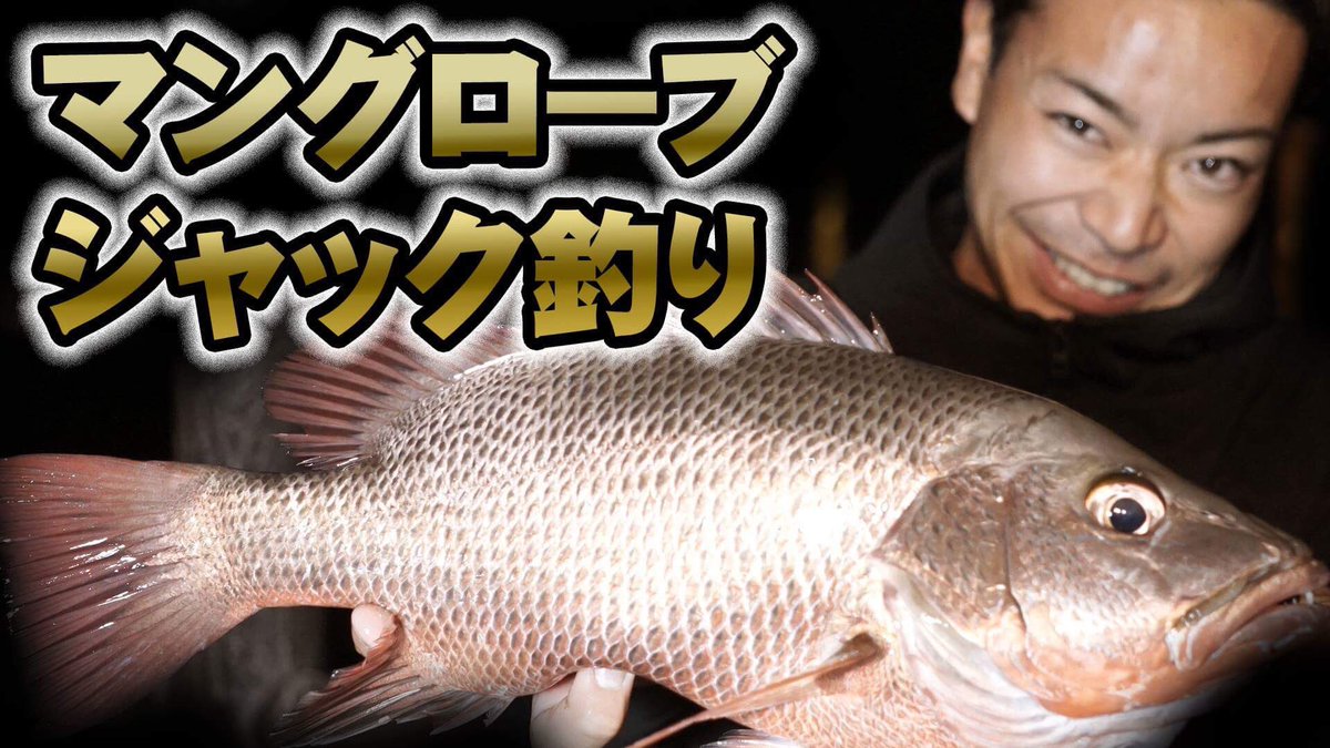 azusa54's tweet photo. マングローブジャックの釣り方！
狙うとなかなか釣れない魚ですか、参考になれば是非^ ^

https://t.co/KCI9Nm4gFw https://t.co/CjGG25KefE