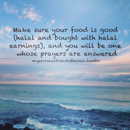 DisgustFood's tweet photo. In Islam we Muslims are restricted to eat haram food but now a days we really don't know what we're eating. People are aware of this but they're ignoring this fact. In this regard the solution for this is to eat at home made things and Desi food.#SayNoToHaramFood https://t.co/P1blVIfCVn