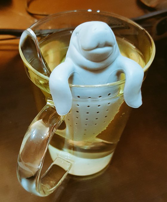 This happy little guy is infusing my tea today #ManaTea https://t.co/vGQD5qB9MK<a href="/tag/manatea"class="tags"><span>#manatea</span></a>