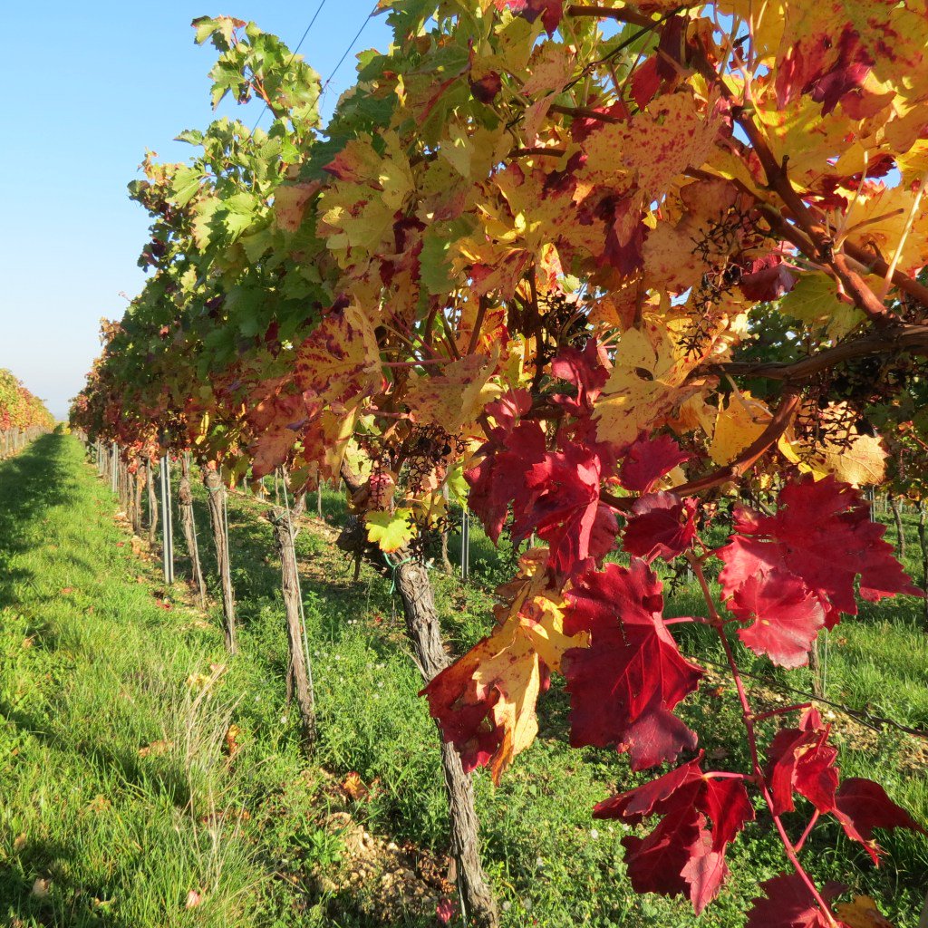 Mein Jahresrückblick 2017 binaspfalzliebe.de/2018/01/07/mei…