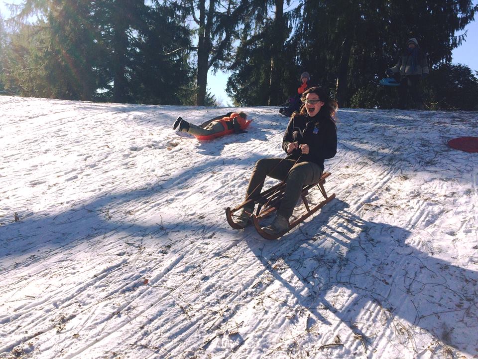 IndyParksandRec's tweet photo. Got snow? We do!!! #HappySledding #SnowyParkFun https://t.co/lKkB9US4EE