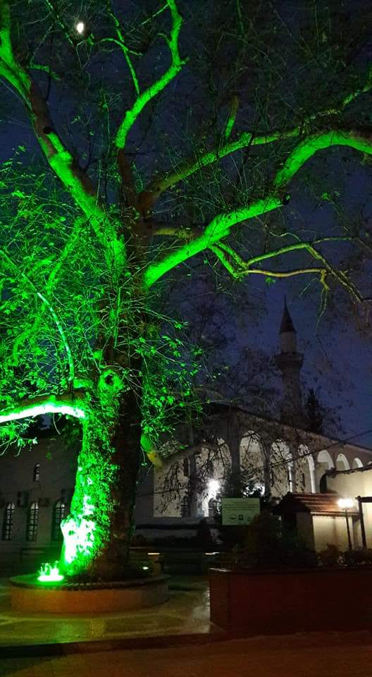 Şehitler diyarı Osmaniye'mizin düşman işgalinden kurtuluşunun 96. yıl dönümünü kutluyor, bizlere bu coğrafyayı Ümmet  kılan  gururla yaşama imkânı sağlayan tüm şehitlerimizi Rahmetle Dua'yla Yad ediyoruz.
#OsmaniyeVatandır
#7OcakKurtuluşGünüKutluOlsun 
#7ocak
#Osmaniye