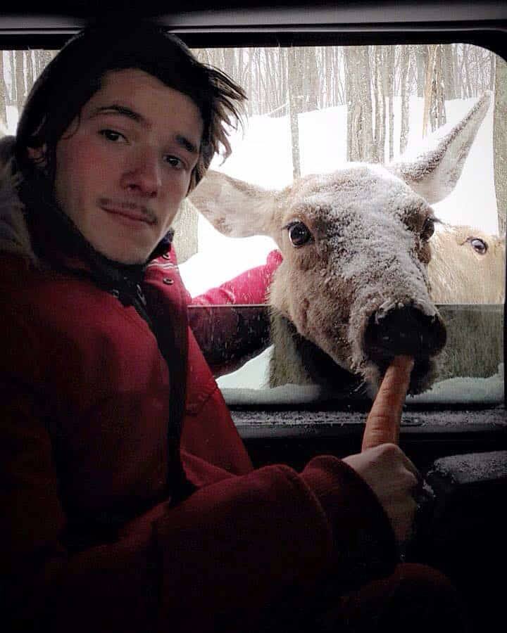 Flavagin's tweet photo. J'étais parti pour nourrir une biche pour faire ma bonne action du jour, puis c'est parti en couille https://t.co/TPrqBqG080