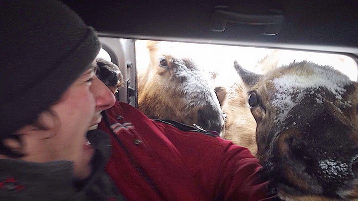 Flavagin's tweet photo. J'étais parti pour nourrir une biche pour faire ma bonne action du jour, puis c'est parti en couille https://t.co/TPrqBqG080