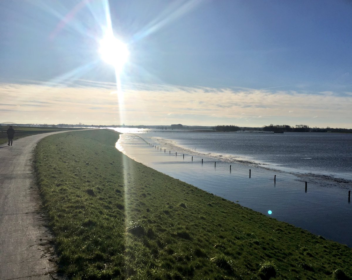 joshuberts's tweet photo. Heerlijk weer vandaag, koud maar zonnig. Mooi rondje langs de #vreugderijkerwaard #groeneroute #hoogwater Ijsseldelta https://t.co/V9P81XbeMs