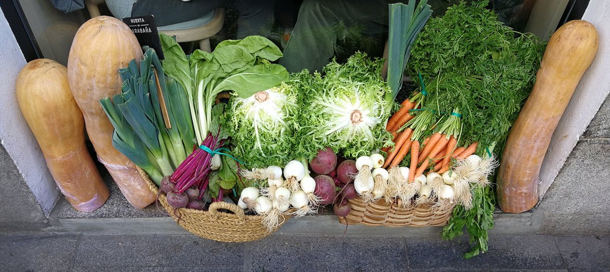 Incluir vegetales en nuestra alimentación es importante por el aporte de glúcidos, vitaminas, minerales, fibra vegetal y proteína vegetal. Digamos si a una dieta saludable.  #Prevención. #SialaSalud <a href="/CSSPanama/">CSSPanama</a> @MINSA_Panama <a href="/mayogastro/">Miguel Mayo</a>