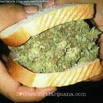 HigherMed's tweet photo. Why smoke your weed when you can just eat it https://t.co/gbgPXEF1kf https://t.co/Y3lRDg91uU