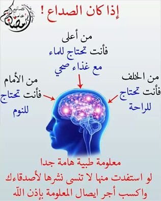 mnomnoo145's tweet photo. @ba_alharthi9  https://t.co/5KcaW3DbLb