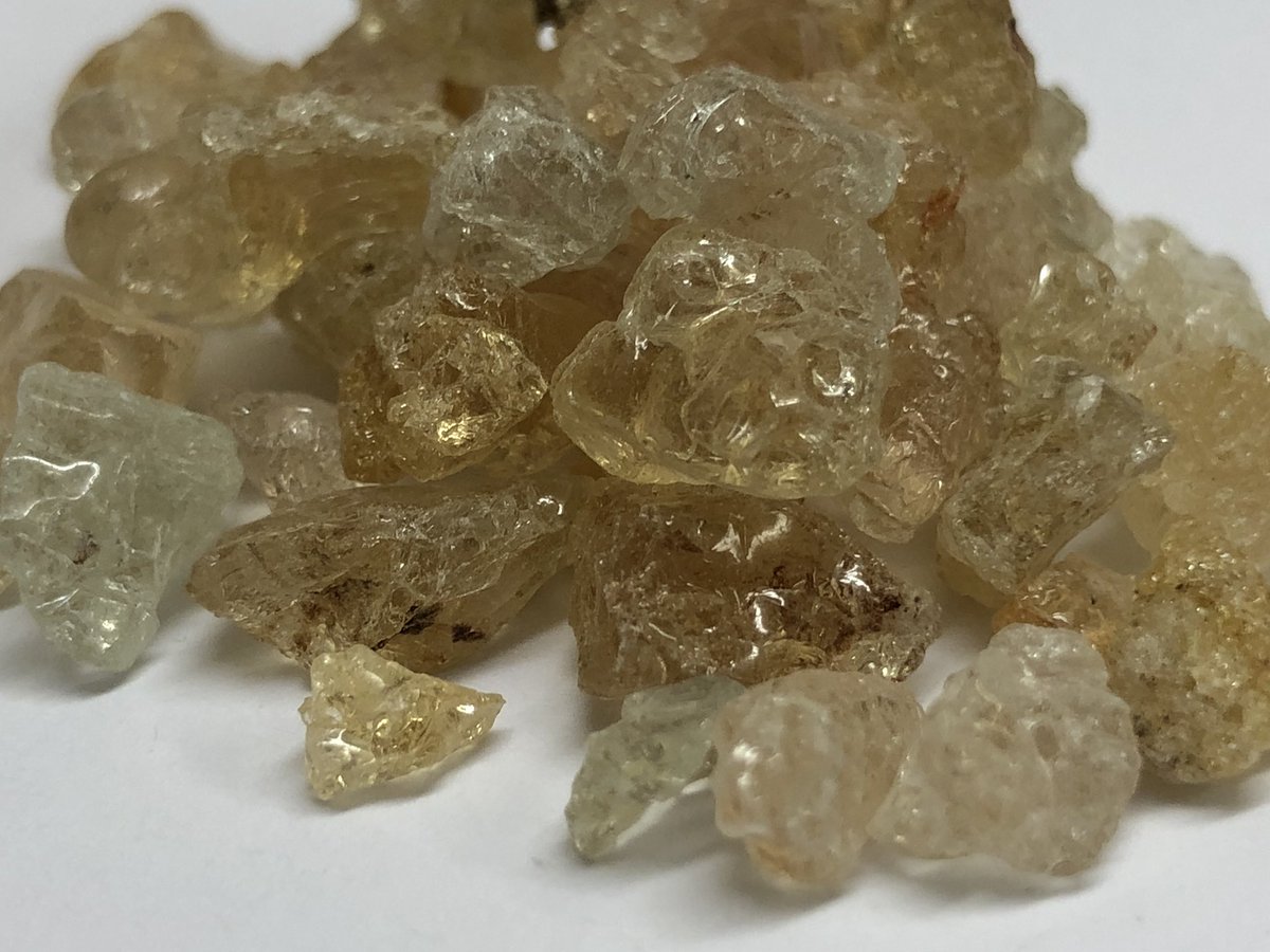herbasense's tweet photo. #Kikkar, Keekar, Babool gond, Babul gond, Indian Gum-arabic, Gum Acacia, Babul, Wattle Bark, acacia à gomme, Gommier rouge, Gummiarabicabaum, Arabischer Gummibaum, Kaloabaval, Baval, Babla, Babur, Babbuli, Baunijali, Bobbuli, Karijali, Ramakanti, Sak, Acacia arabica Willd, https://t.co/2Ooga6urg4