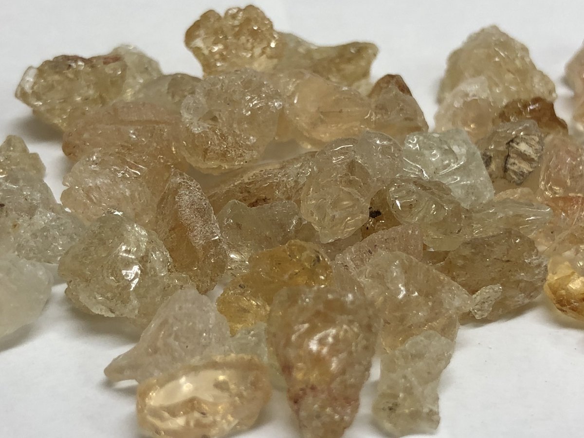 herbasense's tweet photo. #Kikkar, Keekar, Babool gond, Babul gond, Indian Gum-arabic, Gum Acacia, Babul, Wattle Bark, acacia à gomme, Gommier rouge, Gummiarabicabaum, Arabischer Gummibaum, Kaloabaval, Baval, Babla, Babur, Babbuli, Baunijali, Bobbuli, Karijali, Ramakanti, Sak, Acacia arabica Willd, https://t.co/2Ooga6urg4